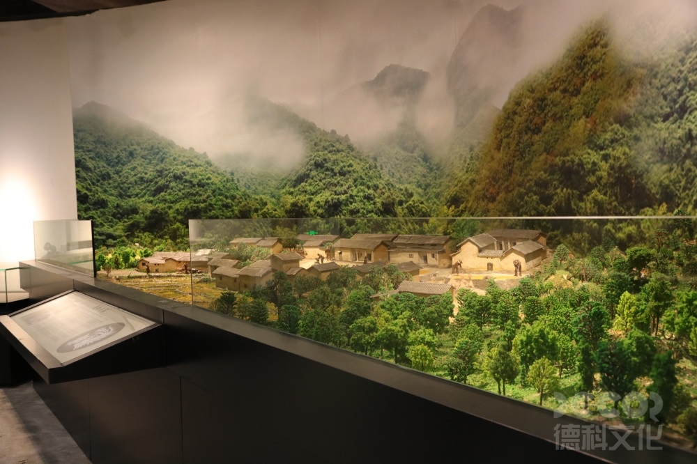 自然歷史展覽館設(shè)計(jì)如何通過(guò)展品講述自然歷史的演變故事？